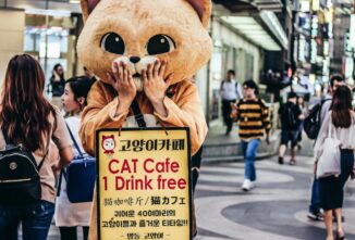 street marketing, experimental marketing, guerrilla marketing Kenya