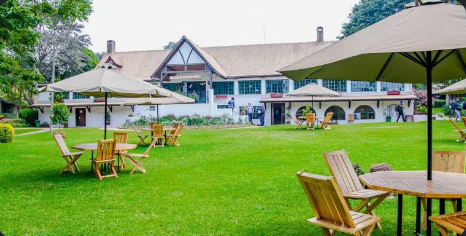 Best Team Building Companies in Limuru: How to Choose the Right Partner